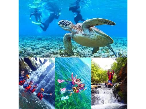 沖縄県のシュノーケリングの予約 日本旅行 オプショナルツアー アクティビティ 遊びの体験予約