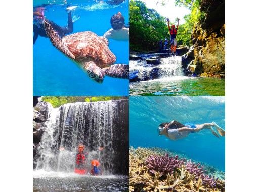 【世界遺産 西表島】夏限定！西表島キャニオニング滝遊び＆バラス島海ガメシュノーケリング【ツアー写真データ無料】の画像