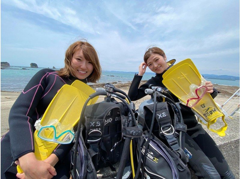 [와카야마/ 시라하마] 체험다이빙로 첫 수중 세계로! (디스 커버 스쿠버다이빙코스)の紹介画像