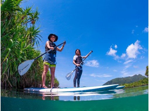 沖縄 石垣島 ミシュランガイド3つ星の川平湾でsupクルージング シュノーケリング体験 無料写真撮影サービス付き アクティビティジャパン