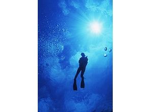 [Wet suit gift with Licensing! Okayama] Open Water Diver course