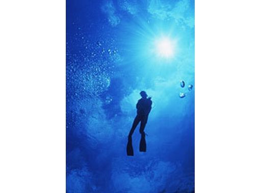 [潛水服禮物許可！岡山]開放水域潛水員課程の画像