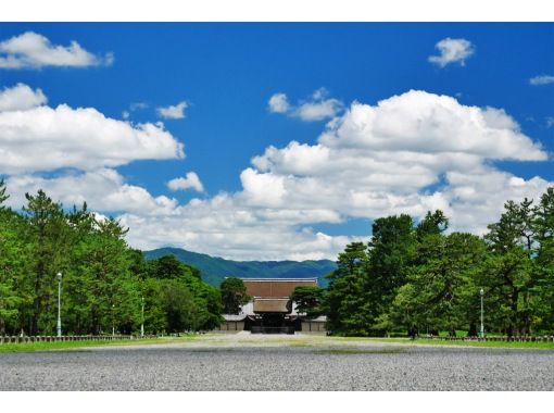 SALE！【変な木を探せ！】いにしえの山城原野ツアー ～京都御苑編～の画像