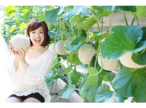 Seida-cho, Gamagori-shi, Aichi] Melon hunting plan | ActivityJapan