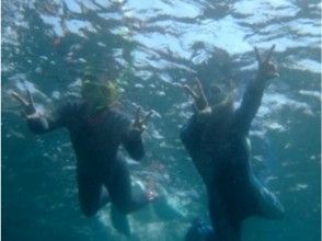 [Shizuoka Futo Yokobama] OWS: Snorkeling naturalist courseの画像