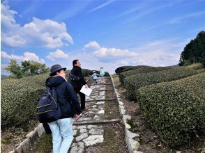 【京都 和束】親子で挑戦♪なぞ解き茶畑ウォークラリー！プレゼント付きの画像