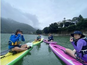 [神奈川/丹澤湖]完整包機⭐︎秘密瀑布指南！ ⭐︎ Gooooo 到山的大自然！の画像