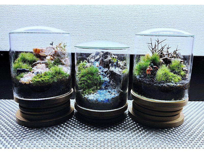 新宿☆苔テラリウム】スマートな硝子瓶で創る！苔テラリウム1個☆夜間