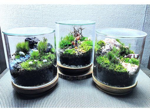 【新宿☆苔テラリウム】スマートな硝子瓶で創る☆苔テラリウムの画像