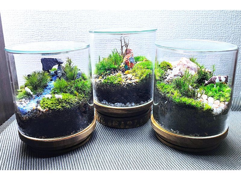 【新宿☆苔テラリウム】スマートな硝子瓶で創る☆苔テラリウムの紹介画像