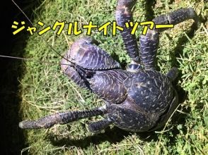 宮古八智旅遊