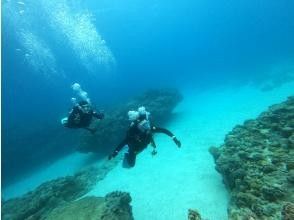 Okinawa Main Island Motobu Town "Experience" Beach Diving From 1 dive | Impressive diving experience surrounded by colorful corals and tropical fish ✨ Any number of photos and videos are free!