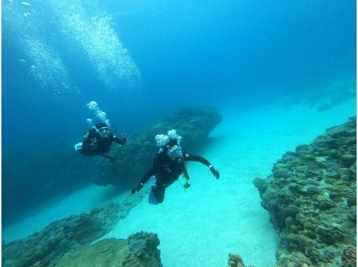 เกาะหลักโอกินาว่า เมืองโมโตบุ "ประสบการณ์" ชายหาด ดำน้ำ ตั้งแต่ 1 ไดฟ์ | ประสบการณ์การดำน้ำที่น่าประทับใจรายล้อมไปด้วยปะการังหลากสีสันและปลาเขตร้อน ✨ รูปภาพและวิดีโอจำนวนเท่าใดก็ได้ฟรี!の画像