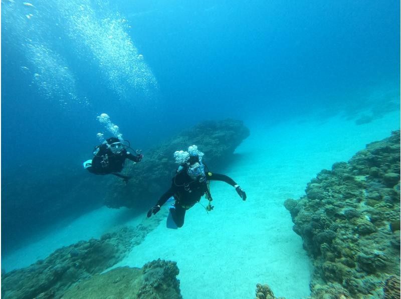 오키나와 본섬 모토부쵸 "체험"비치 다이빙 1 다이브에서 | 화려한 산호와 열대어로 둘러싸여 감동의 다이빙 체험 ✨ 사진도 동영상도 몇 장이라도 무료!の紹介画像