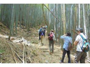 [Wakayama / Kainan] Walk along the Kumano Kodo with the storyteller (Kiiji)