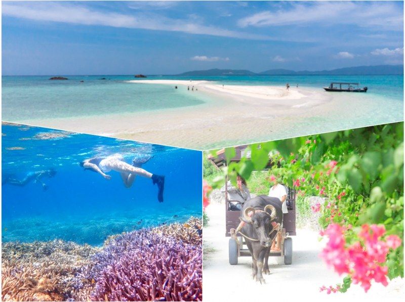 [Ishigaki Island & Taketomi Island / 1 day] Landing on the phantom island & snorkeling & sightseeing on Taketomi Island ★ Enjoy two remote islands for half a day each! Equipment rental / Free photo data [Student discount plan]の紹介画像