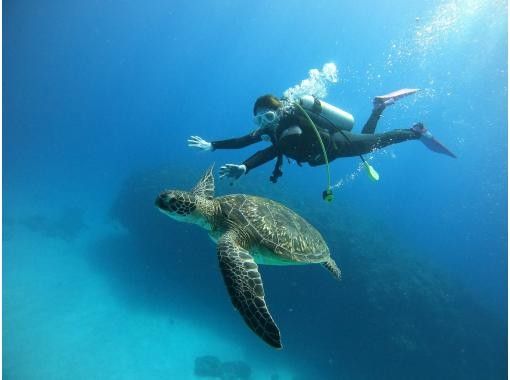 Kerama Chibishi Islands "Experience" Boat Diving From 2 dives | Experience the impressive Kerama Blueの画像