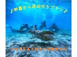 【車がなくても安心！ホテル送迎付♪】ウミガメ遭遇高確率！体験ダイビング・トロピカル探検コース★写真撮影＆餌付無料