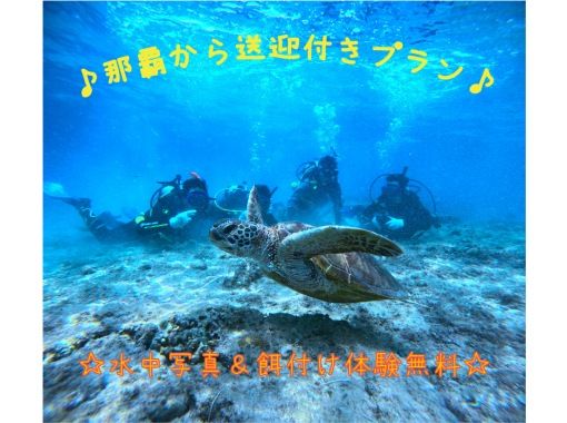 【車がなくても安心！ホテル送迎付♪】ウミガメ遭遇高確率！体験ダイビング・トロピカル探検コース★写真撮影＆餌付無料の画像