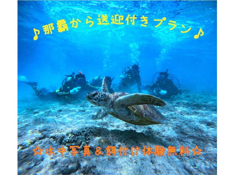 【車がなくても安心！ホテル送迎付♪】ウミガメ遭遇高確率！体験ダイビング・トロピカル探検コース★写真撮影＆餌付無料の紹介画像