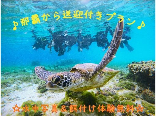 【★車がなくても安心♪ホテル送迎付】☆ウミガメ遭遇高確率☆シュノーケル体験トロピカル探検コース★写真撮影＆餌付！の画像
