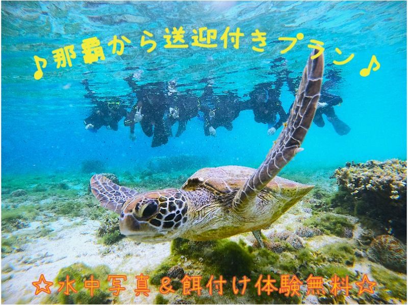 【★車がなくても安心♪ホテル送迎付】☆ウミガメ遭遇高確率☆シュノーケル体験トロピカル探検コース★写真撮影＆餌付！の紹介画像
