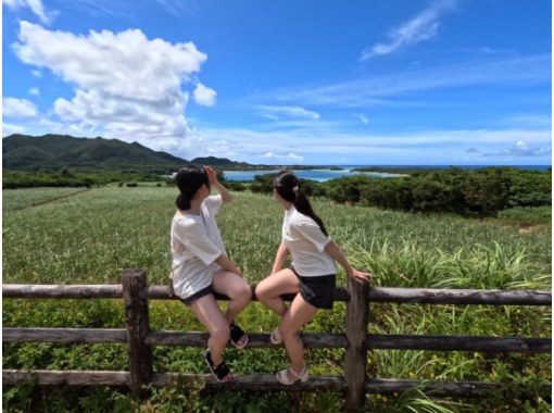 [Ishigaki Island/Half-day] Private VIP charter tour! ★Luxuriously have the guide all to yourself★[Free photo data]★SALE!の画像