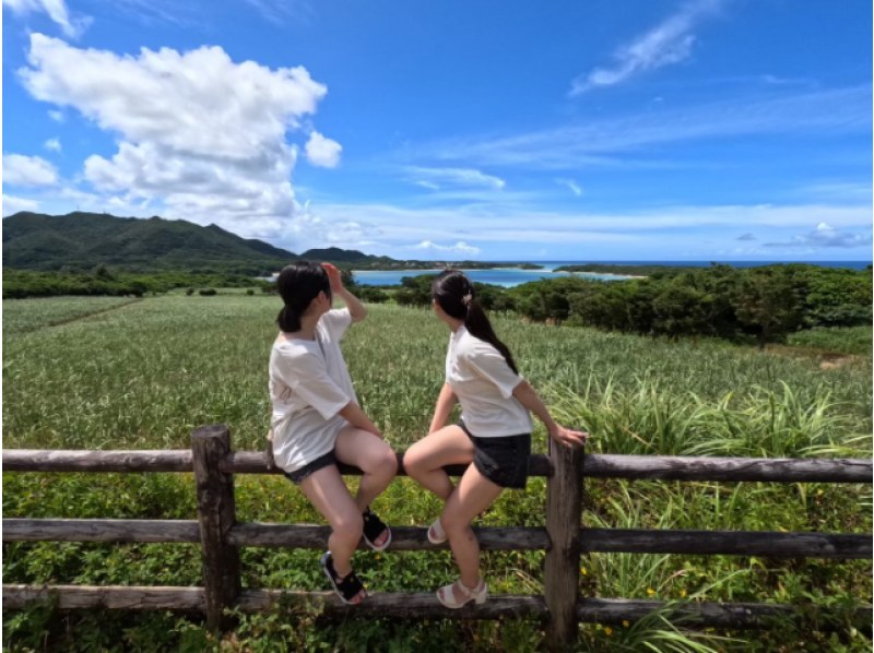 [Ishigaki Island/Half-day] Private VIP charter tour! ★Luxuriously have the guide all to yourself★[Free photo data]★SALE!の紹介画像