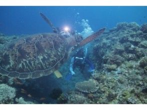 マナファクトリー(mana Factory)