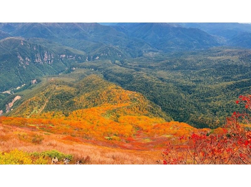 【北海道・SUP体験】透明度の高い支笏湖の湖面をクルージング！SUP体験（半日コース）の画像