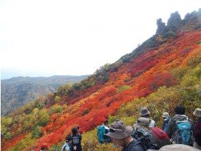 [Hokkaido Sounkyo] A day trip autumn leaves hiking tour with a professional guide in Kurodakeの画像