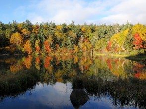 【北海道・層雲峡】プロガイドと行く大雪高原温泉沼めぐり 紅葉トレッキングツアーの画像