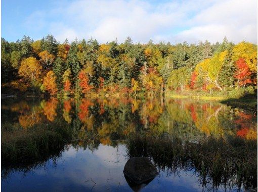 [Hokkaido / Sounkyo] Daisetsu Kogen Onsen Swamp Tour with a Professional Guide Autumn Leaves Trekking Tourの画像