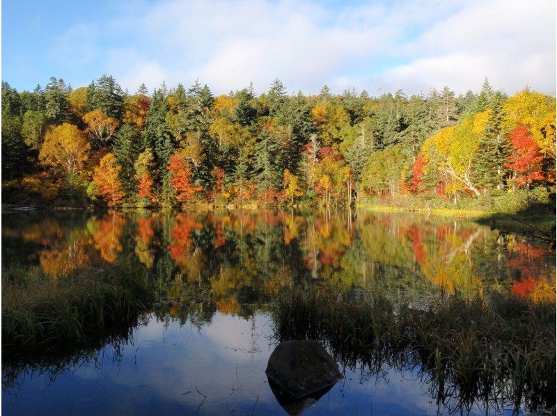 [Hokkaido / Sounkyo] Daisetsu Kogen Onsen Swamp Tour with a Guide Autumn Leaves Trekking Tour