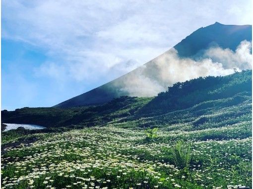 【北海道・旭岳】プロガイドと行く日帰りフラワートレッキングツアー裾合平の画像