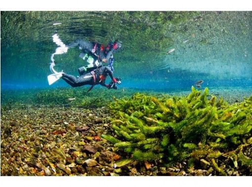 熊本 天草 泉水 淡水深潛 Am Pm半天計劃 Activityjapan 熊本 天草 泉水 淡水深潛 Am Pm半天計劃 Activityjapan