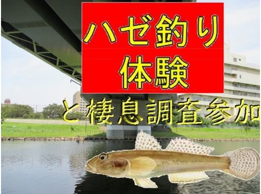 東京 江東区 大きな橋の下で超絶面白いハゼ釣り体験と棲息調査に参加 3歳からok アクティビティジャパン