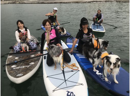 <Chartered> 2-3 people group private "Dog SUP plan (about 2 hours)"の画像