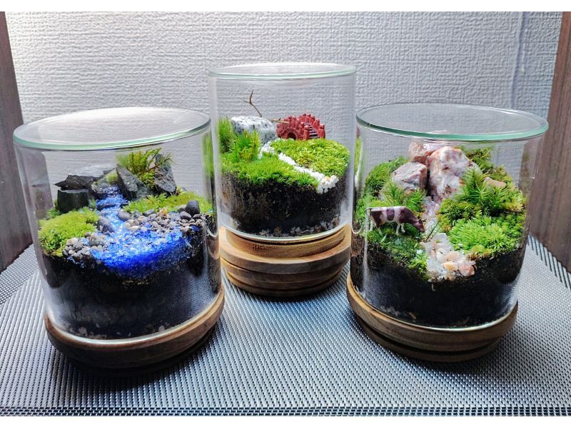6～8(9)名様グループ】☆スマート瓶☆苔テラリウム | アクティビティ