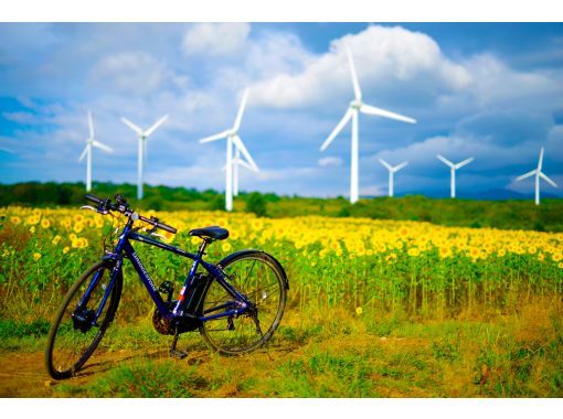 [จังหวัดฟุกุชิมะ Inawashiro] [จำกัด หนึ่งกลุ่มต่อวัน] ทิวทัศน์พิเศษสำหรับคุณเท่านั้น! แผนการปั่นจักรยานไปบน Nunobiki Highlands Sunflower Road (พร้อมของที่ระลึก)の画像