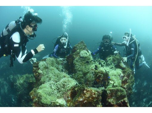 [From Yokohama] [Nishiizu/Koganezaki/Osezaki] Recommended for customers who have just obtained their license and have little experience! 2 beach fun divingの画像