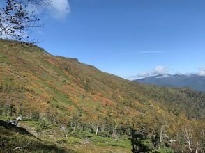 【北海道・層雲峡】プロガイドと行く赤岳・駒草平 紅葉トレッキングツアー