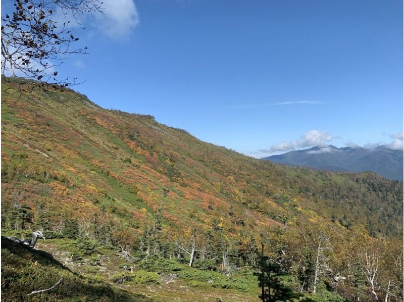 北海道 コレクション 赤岳 靴