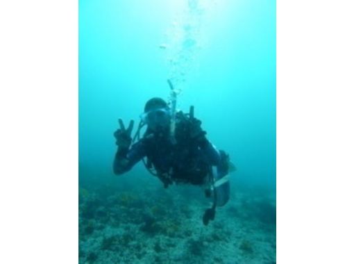 [Shizuoka Ito Izu Marine Park] Enriched Air Nitrox experience fan diving [C card owner]の画像