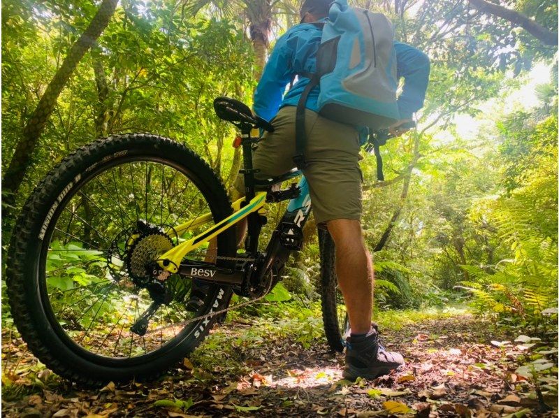 【北海道・SUP体験】透明度の高い支笏湖の湖面をクルージング！SUP体験（半日コース）の画像