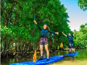 [Okinawa Main Island, Central and Northern Areas] Winter only - Okukubi River Mangrove SUP | A calm river in a subtropical mangrove forest! An extraordinary experience where you can enjoy nature observation and take great photos