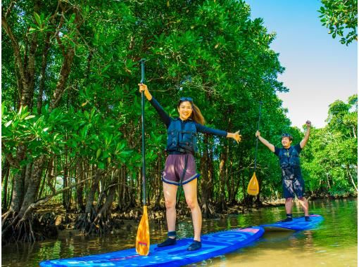 [Okinawa Main Island, Central and Northern Areas] Winter only - Okukubi River Mangrove SUP | A calm river in a subtropical mangrove forest! An extraordinary experience where you can enjoy nature observation and take great photosの画像