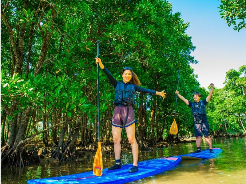 [Okinawa Main Island, Central and Northern Areas] Winter only - Okukubi River Mangrove SUP | A calm river in a subtropical mangrove forest! An extraordinary experience where you can enjoy nature observation and take great photosの紹介画像