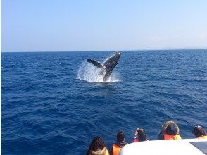 【沖繩/那霸】登陸長奴島！觀賞鯨魚