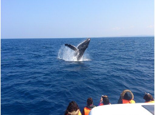 【沖縄・那覇】ナガンヌ島上陸！ホエールウォッチングの画像